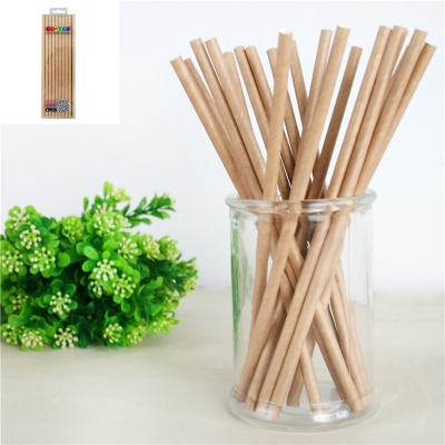 Kraft Paper Straws 20PK