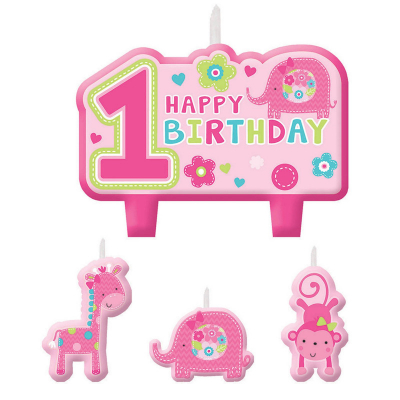 One Wild Girl Birthday Candle Set 4PK