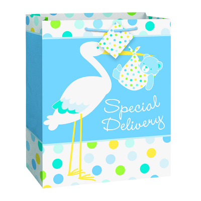 Boy Stork Gift Bag