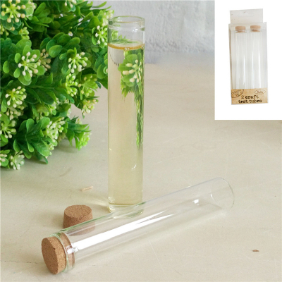 12cm Craft Test Tubes 2PK