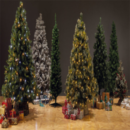 Christmas Trees